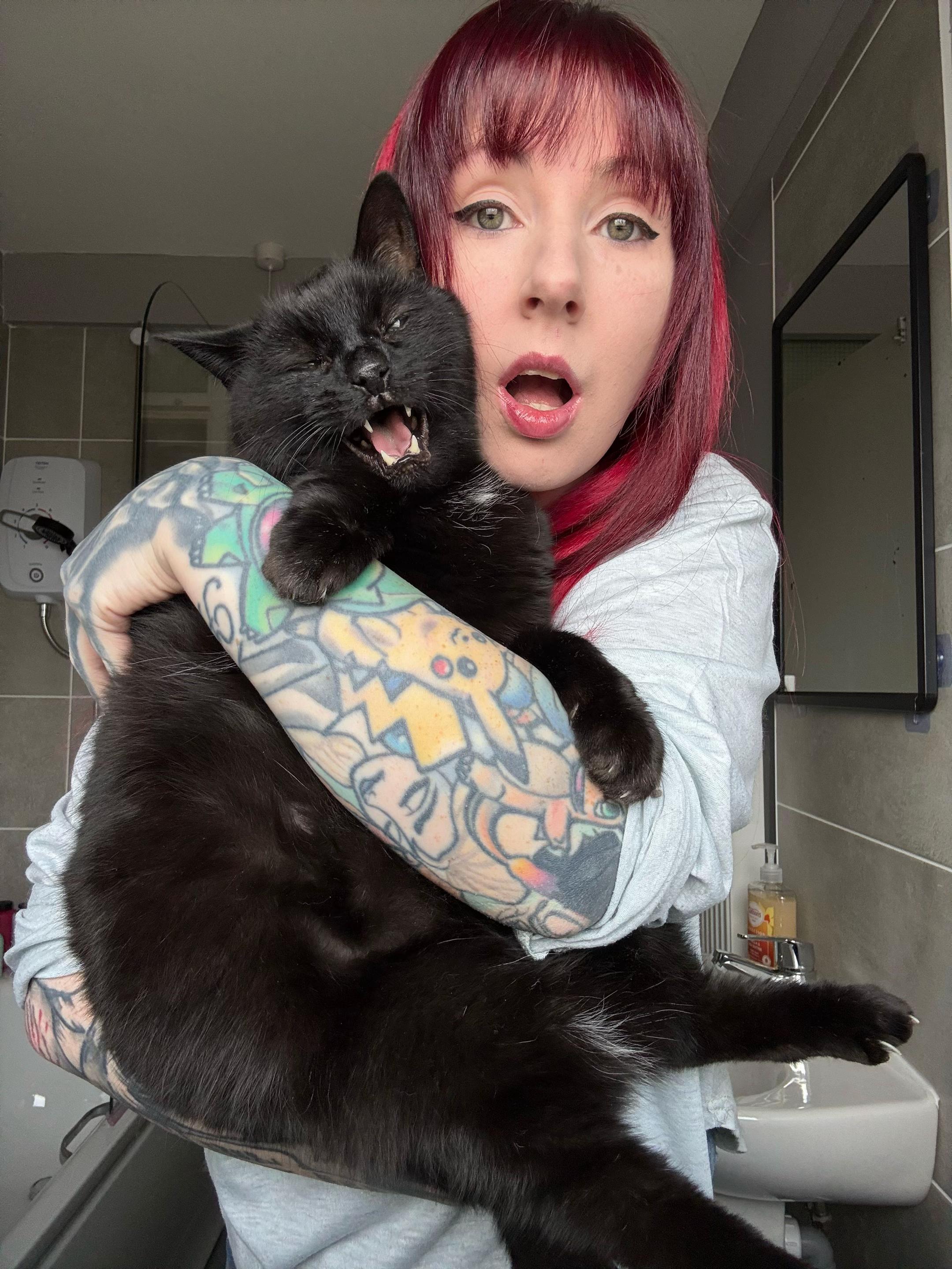 @Teefie_tribe 🐈⬛🐈⬛🐈🦷🦷