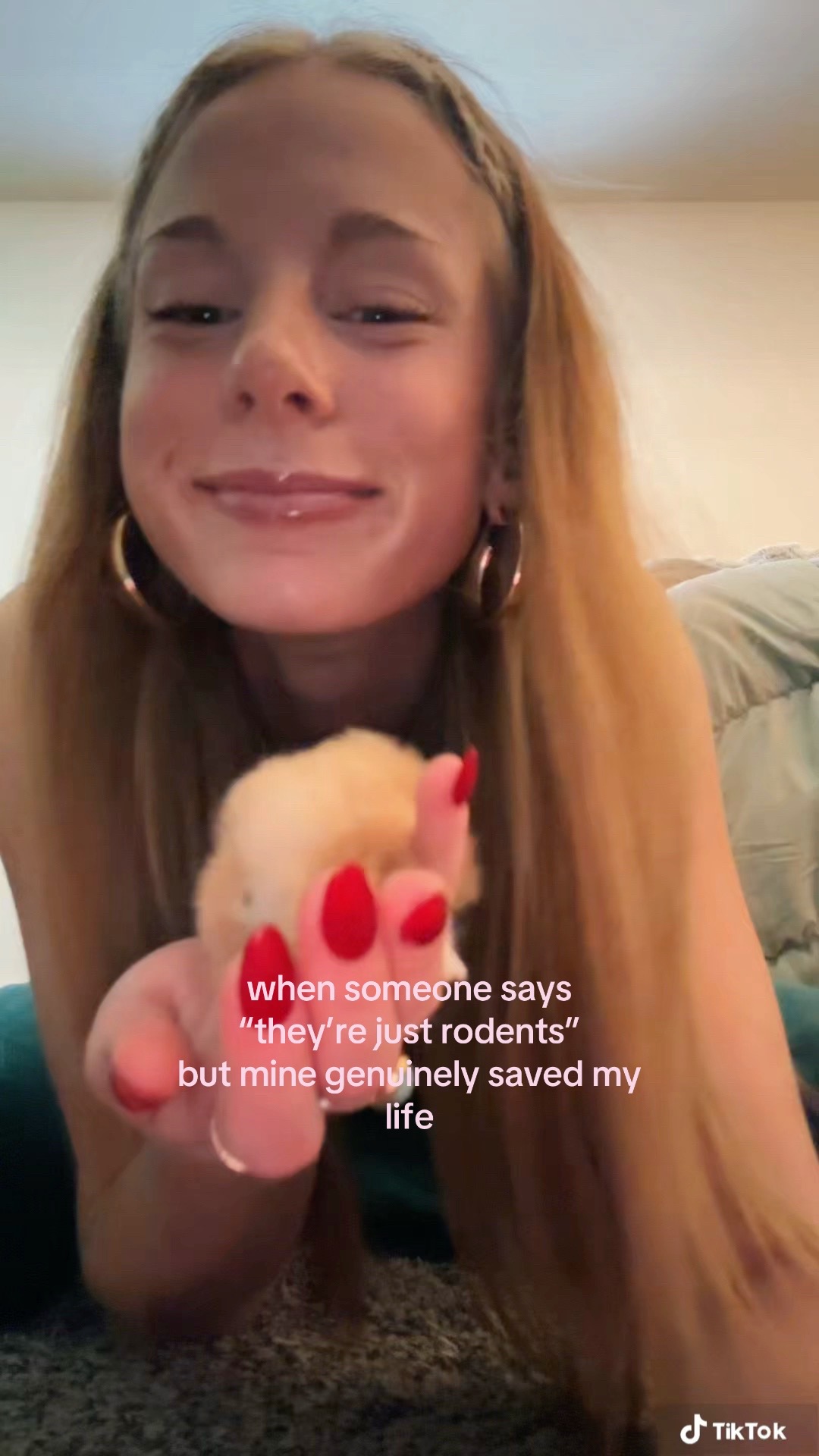 @addibaddi🐆