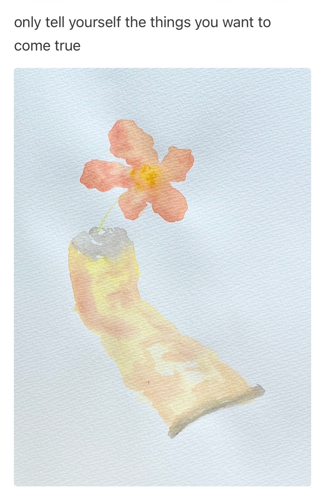 @Tims daily flowers