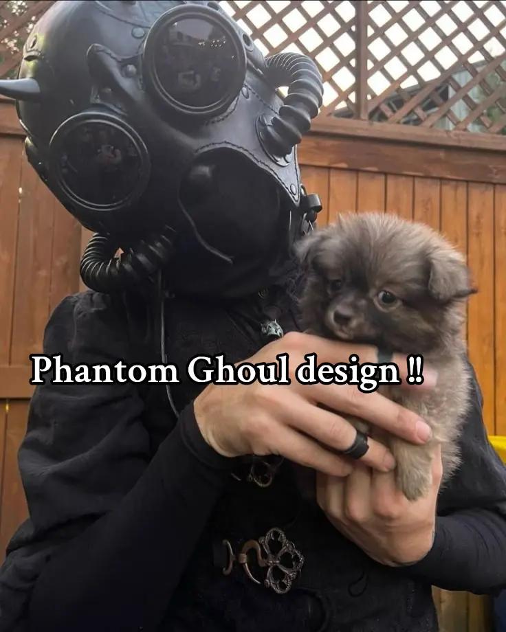 @toof🦇🪼