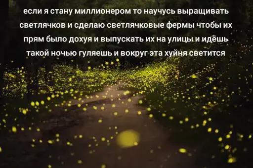 @Арсений🎀