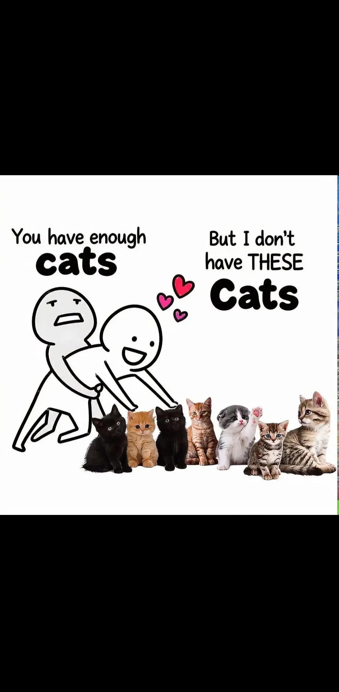 @Lisa C 🐱