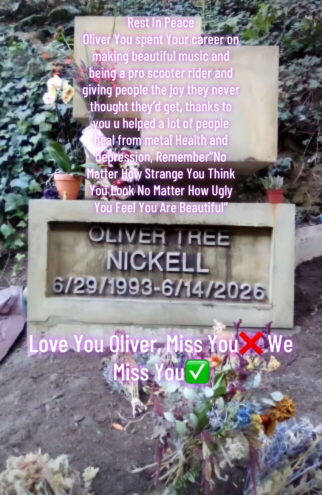 @👽🛴XDfam_OliverTreefan🛴👽