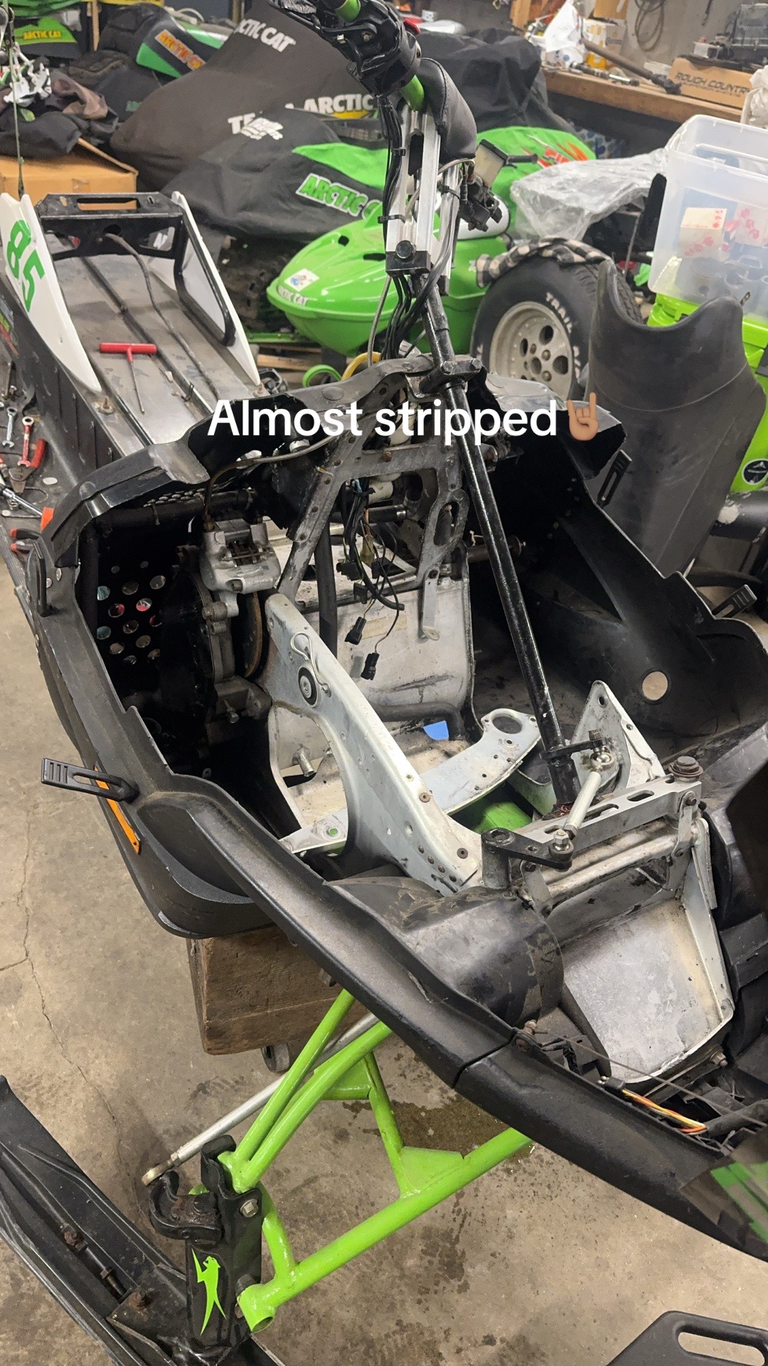 @Arcticcatmatt