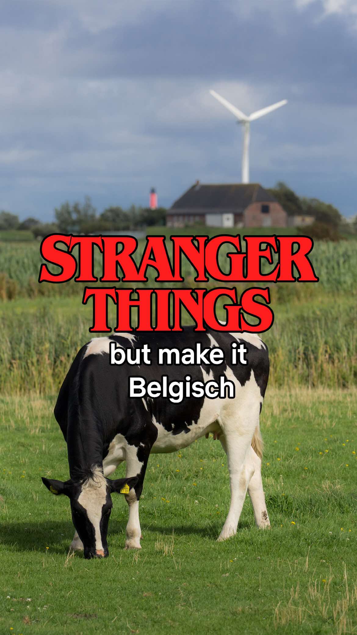 @netflixbelgie