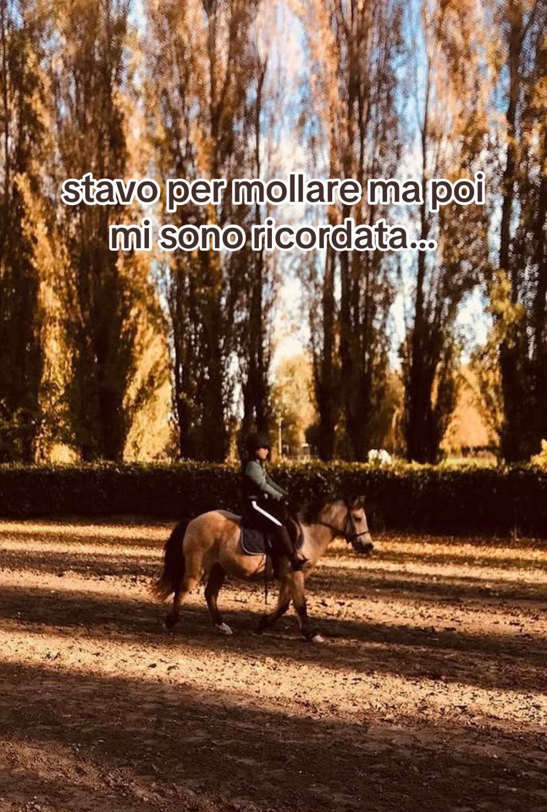 @gine.spamm__