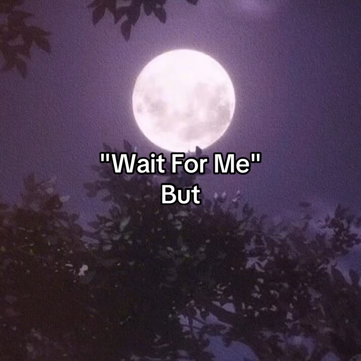 @The Moon Will Sing