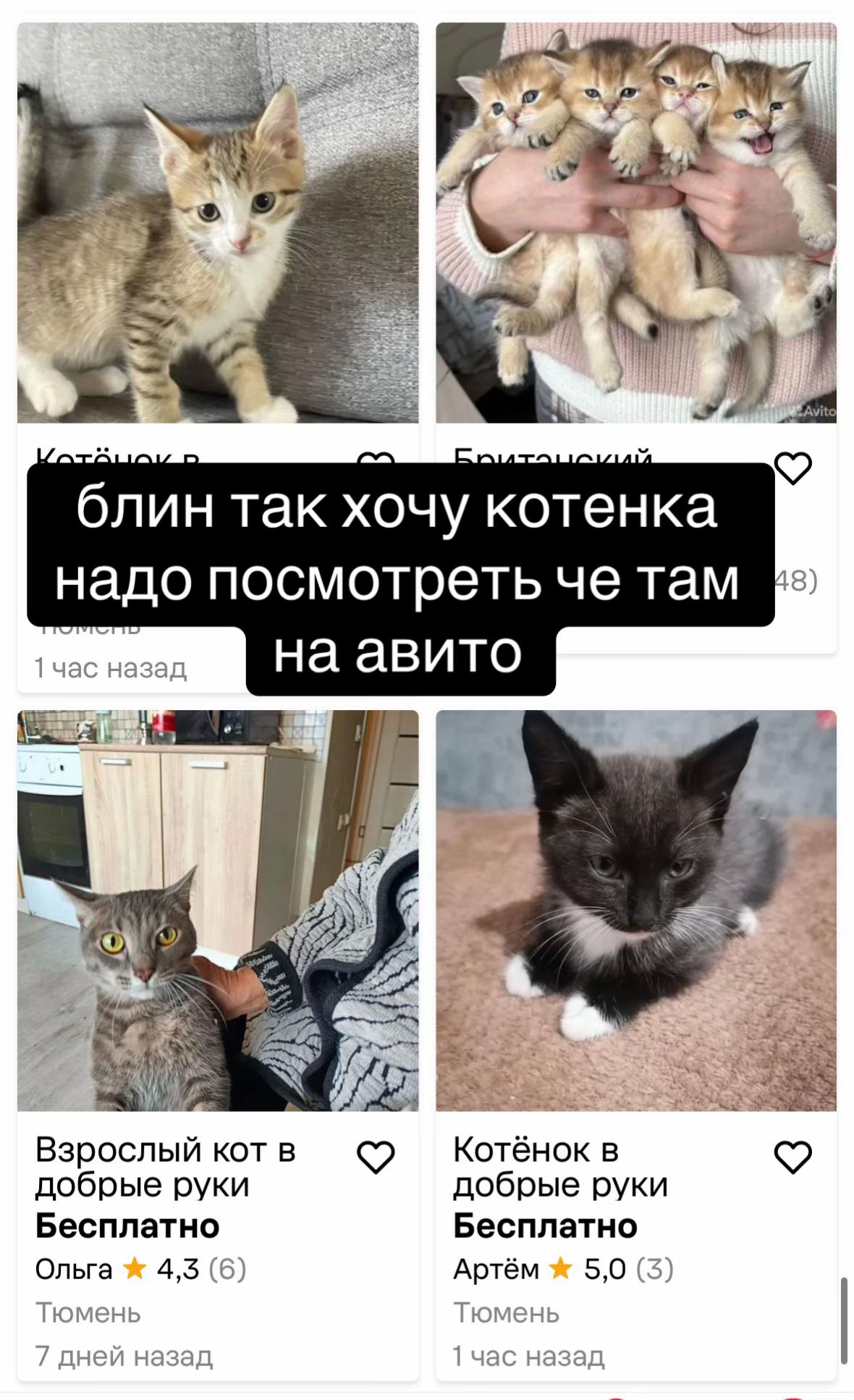 @херь