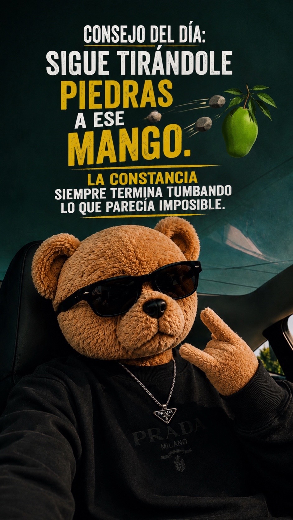 @William Aguilar
