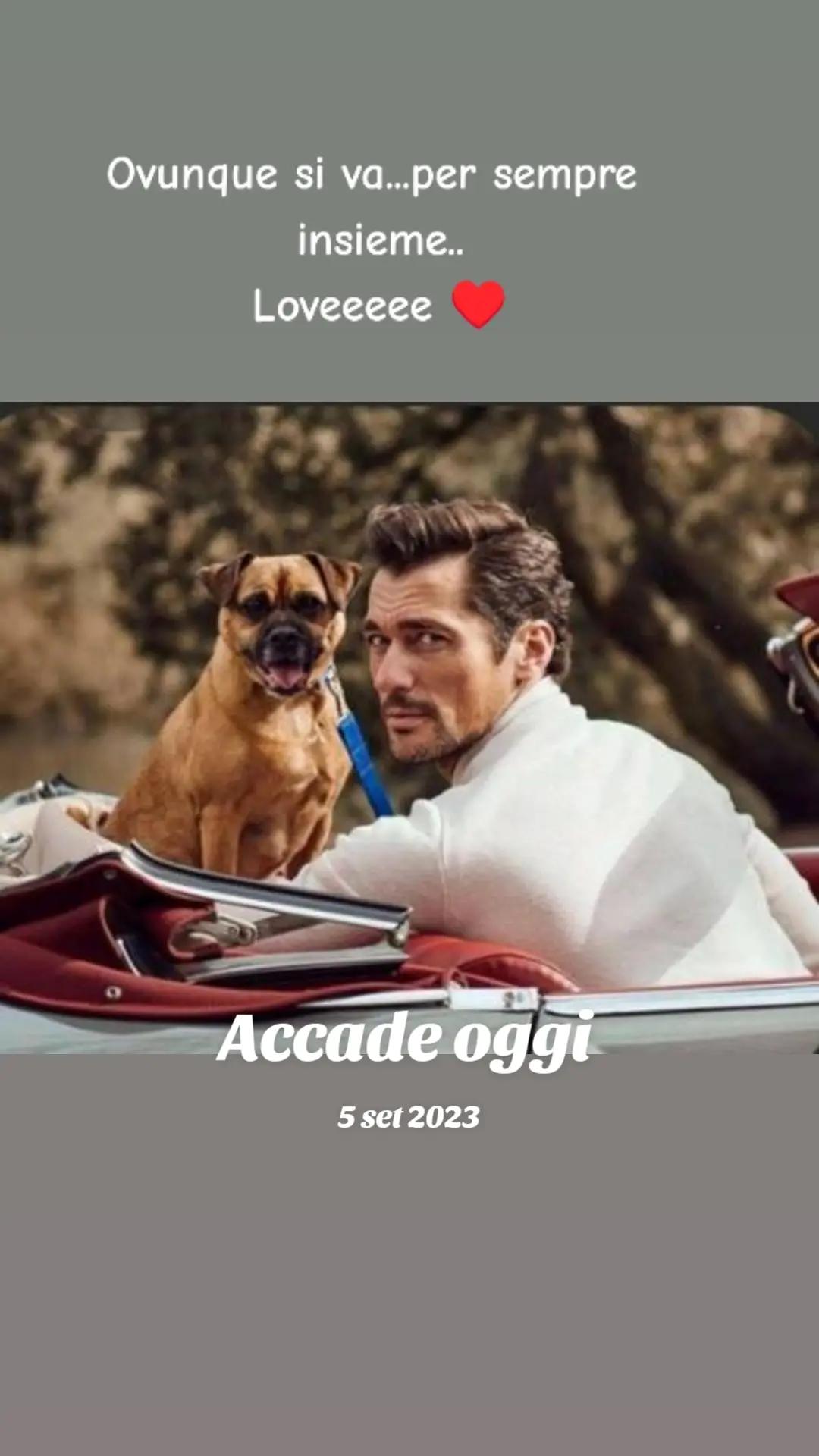 @Rossana♥️Billy❤️ Léon❤️