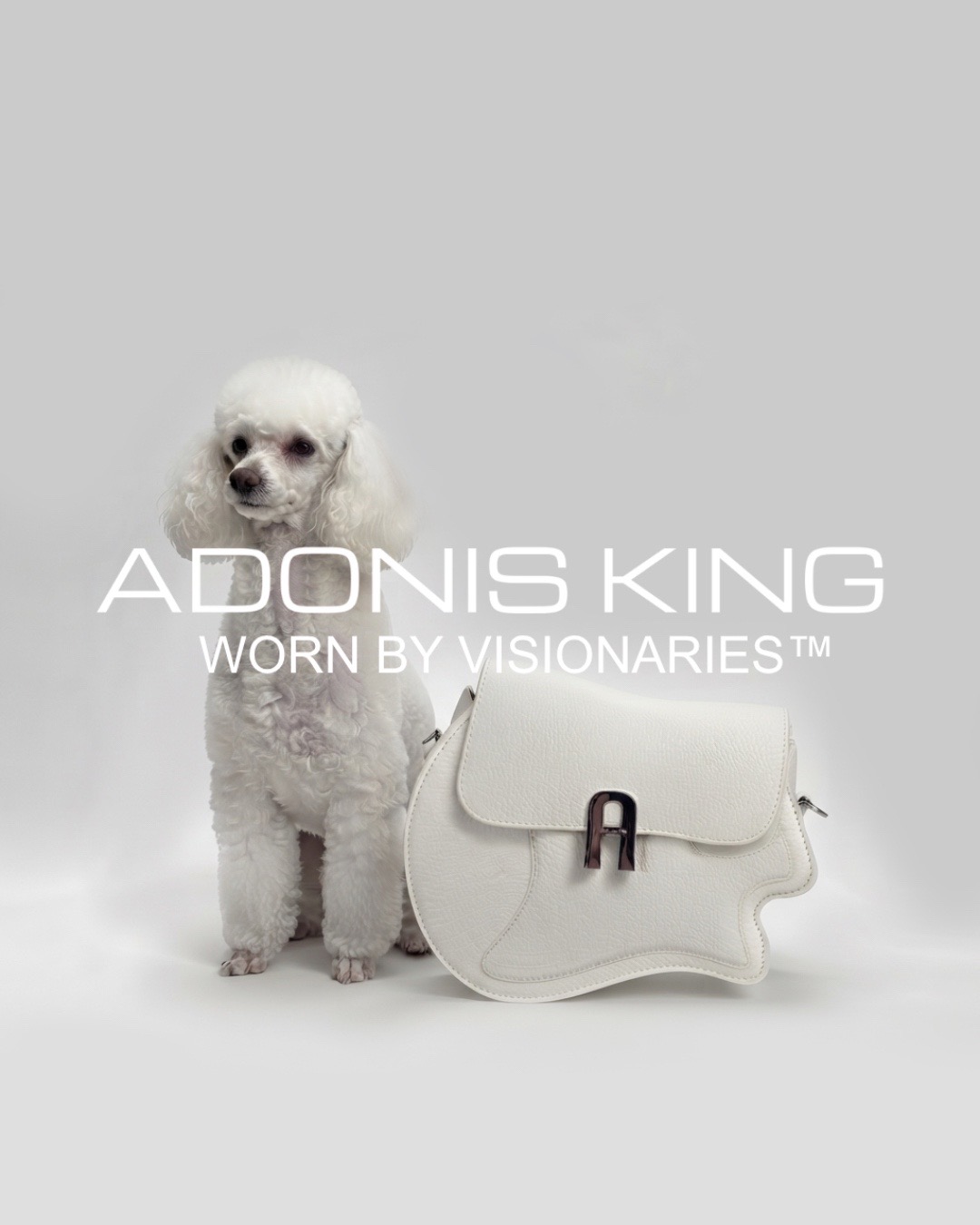@Adonis King