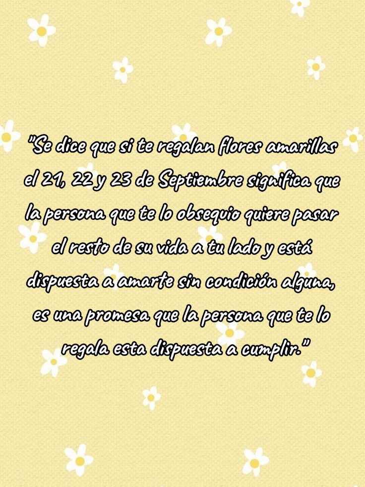 @shibebe 🫧