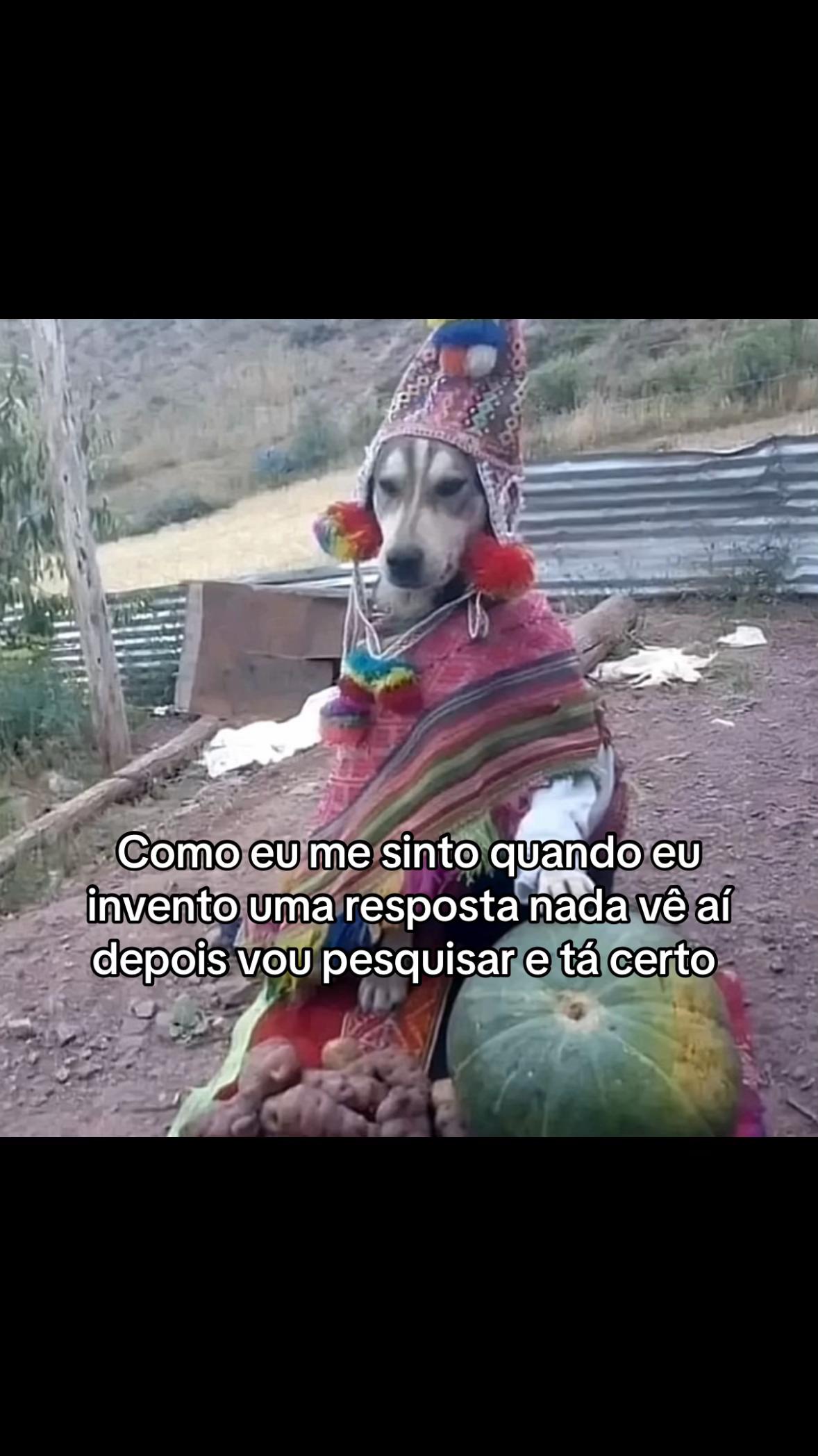 @Aninha