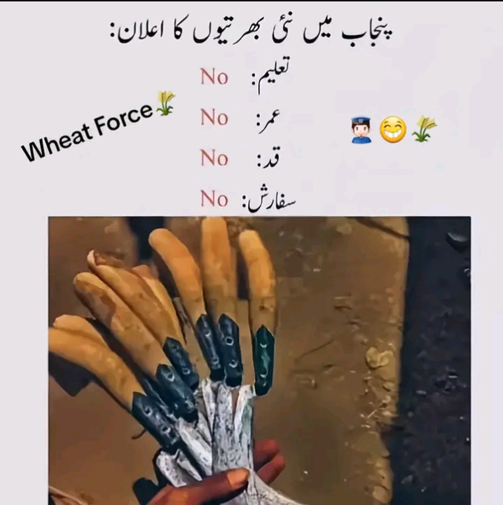 @Rida Shahzadi 💫