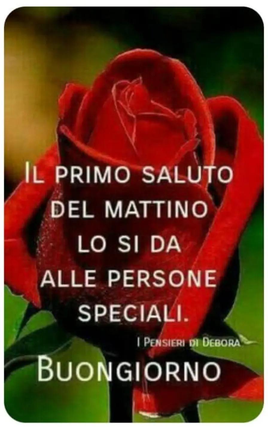 @Maria Grazia