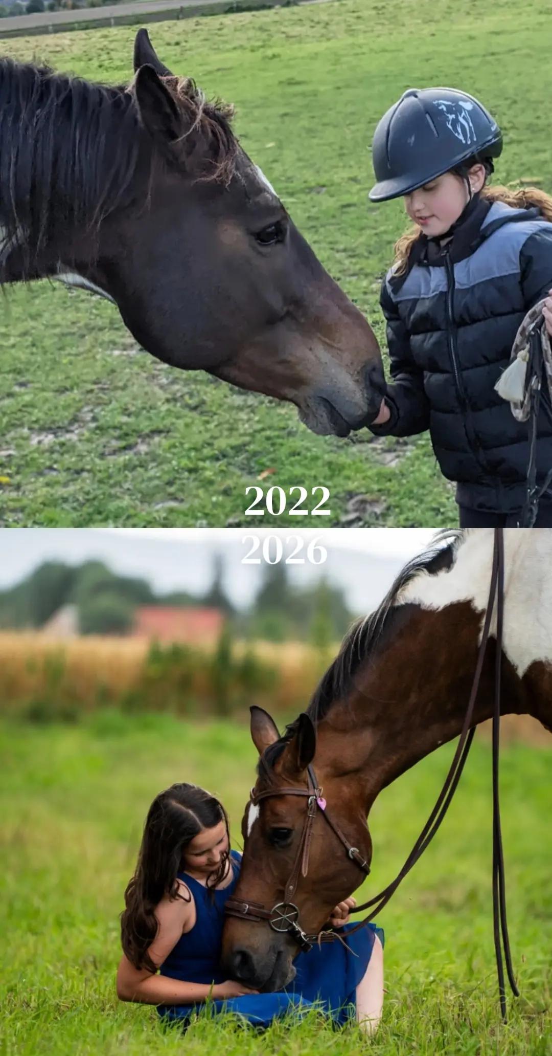 @Herzenspferdanuuk