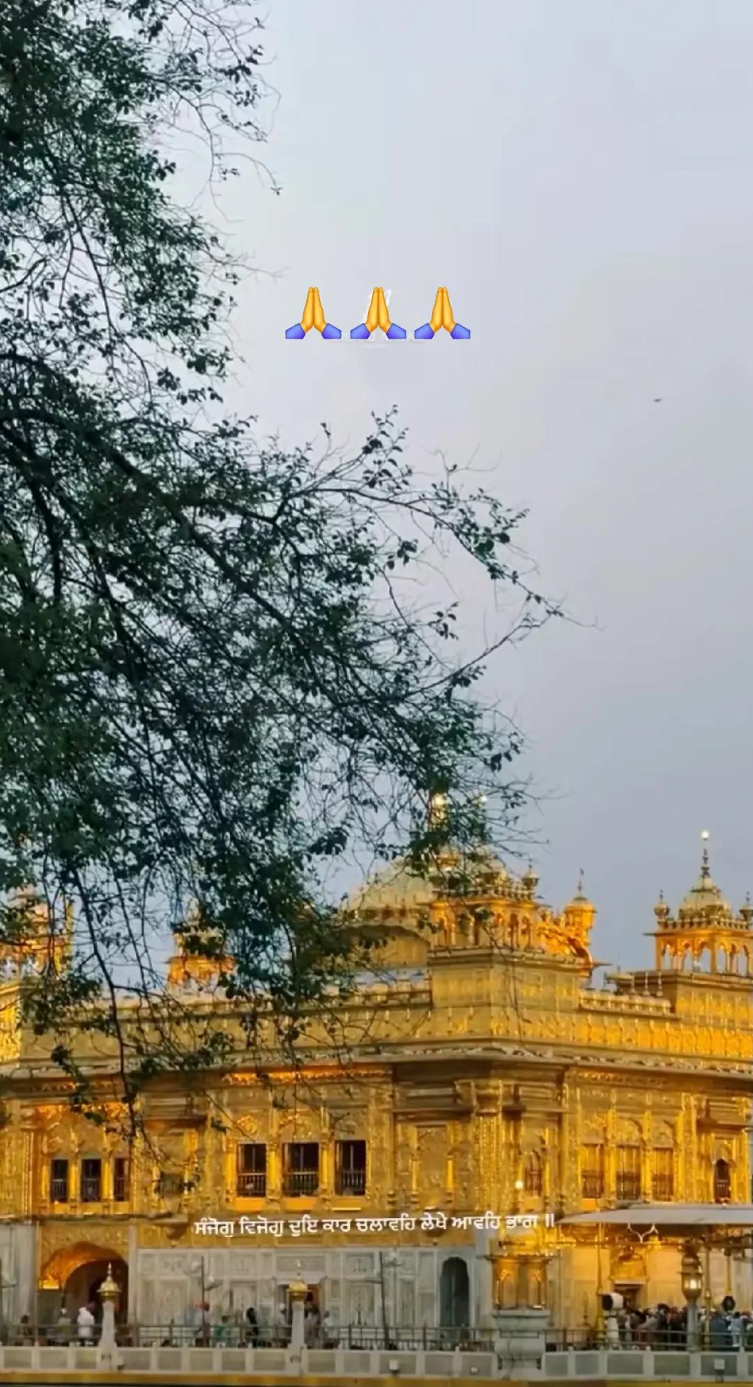 @🇵🇹 Preet Thind 🇵🇹