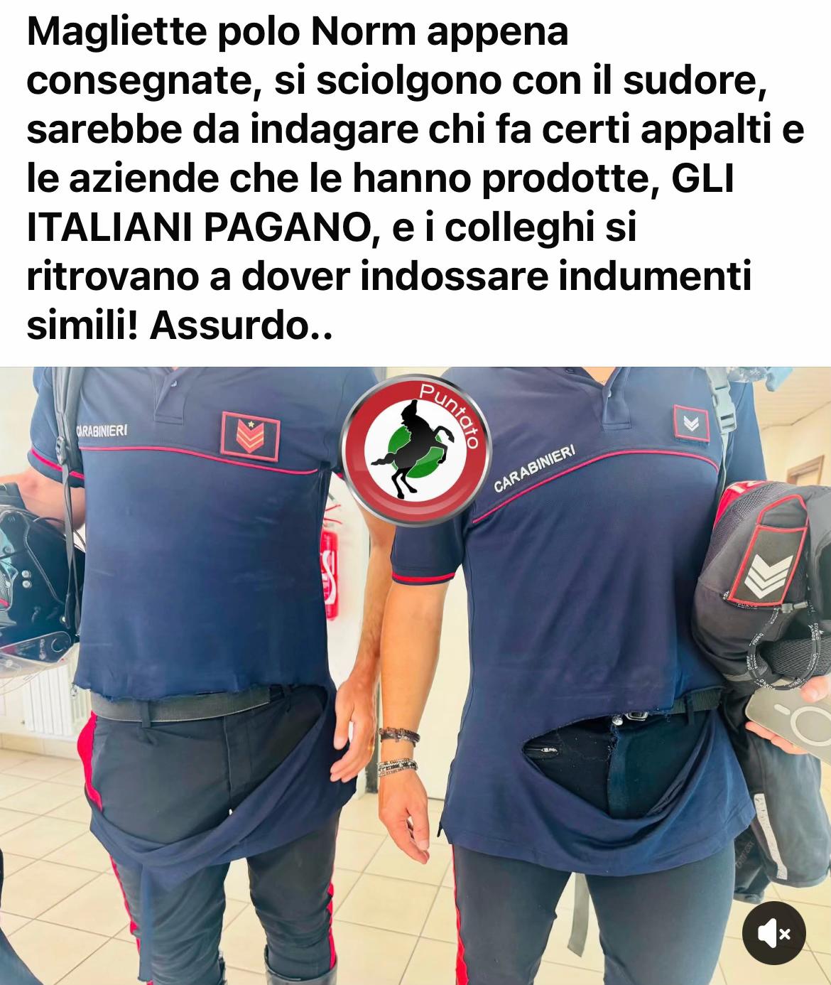@Angela Raffaella Log