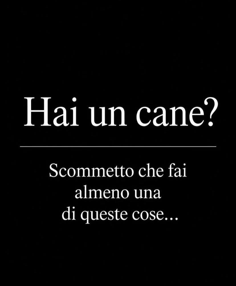 @sabryecasper