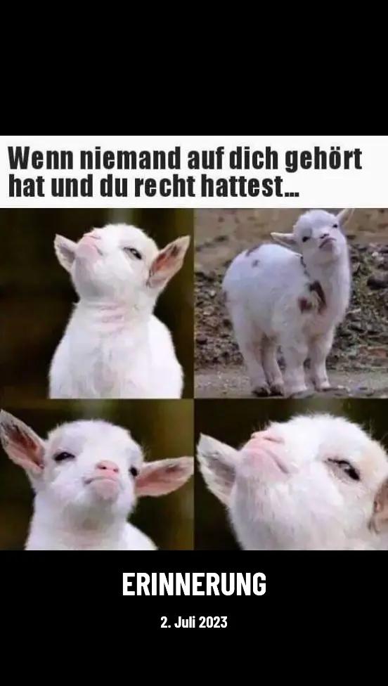 @Mel