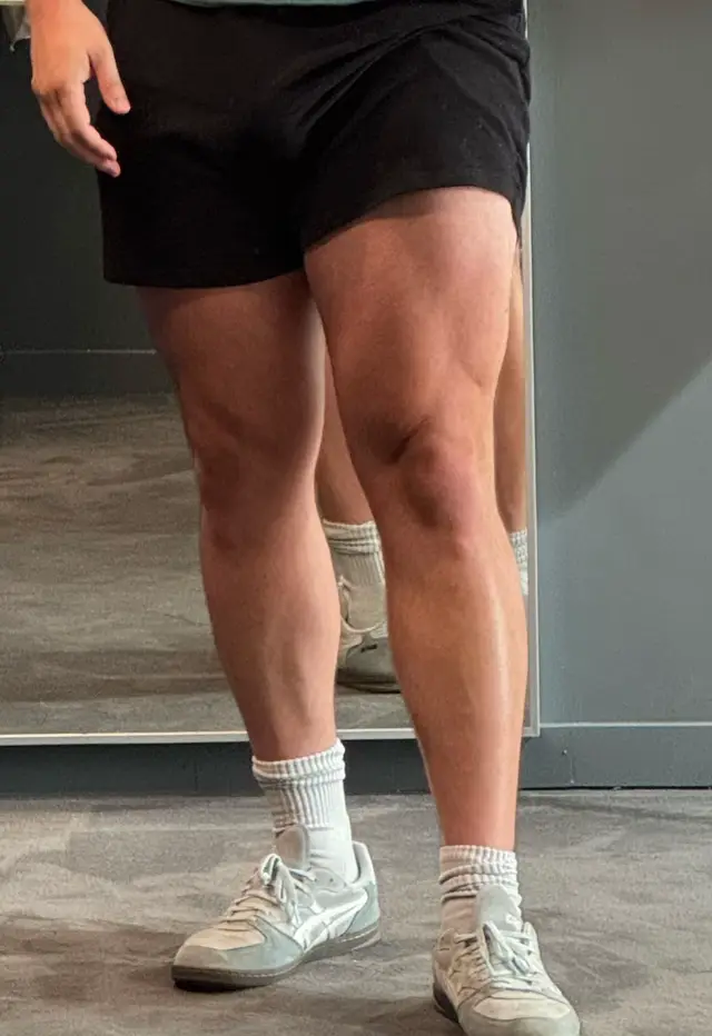 @lastfrenchie