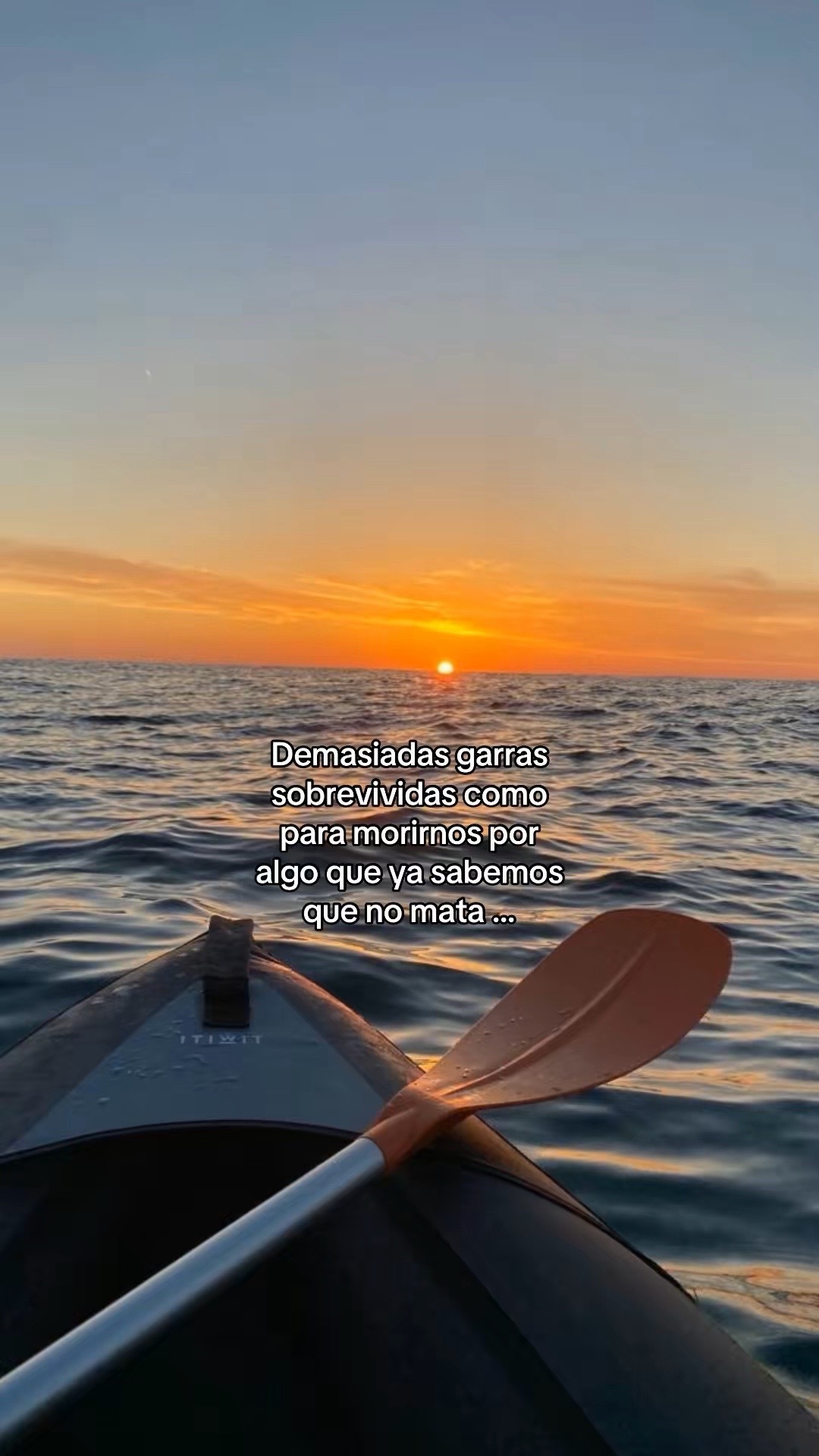 @DORLYN💖✨