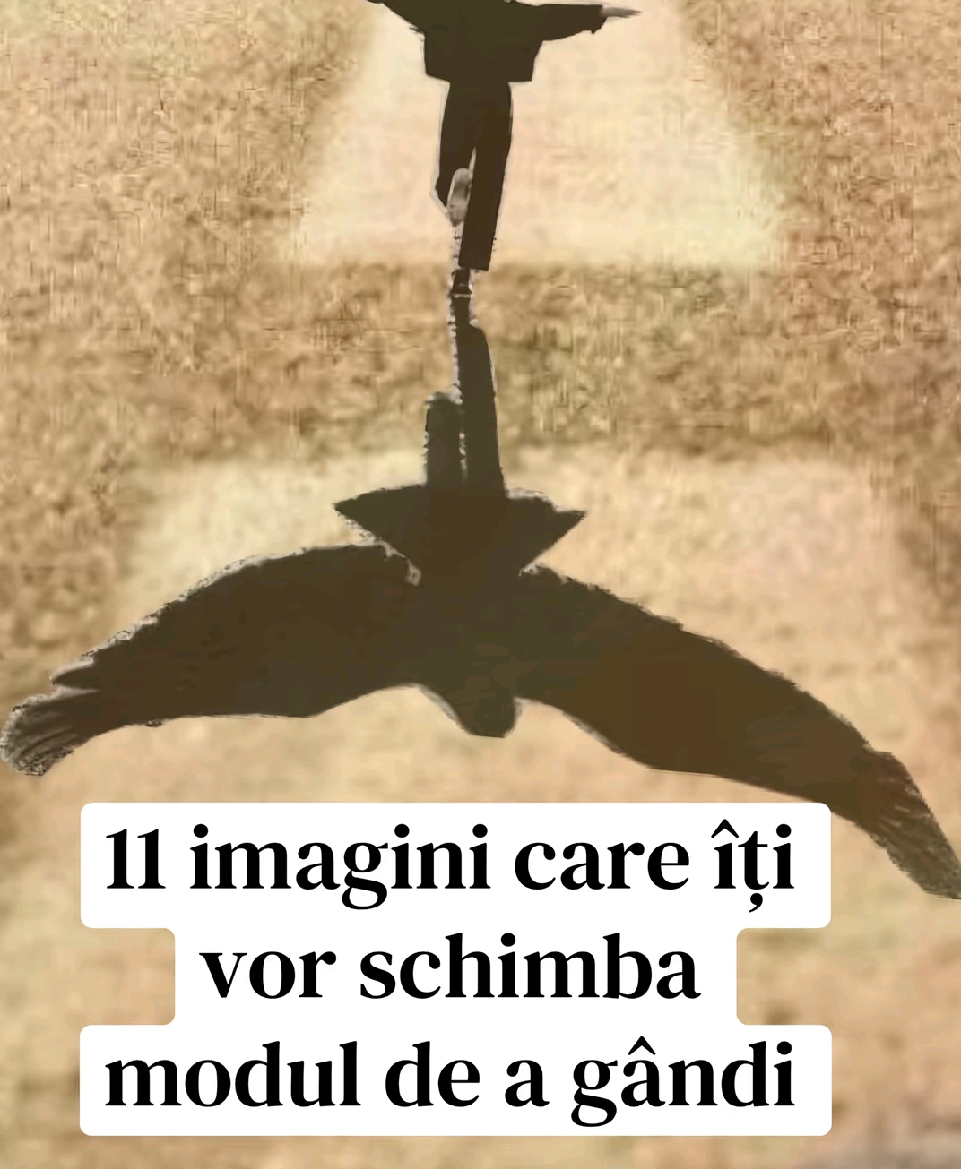 @DincoloDeReal