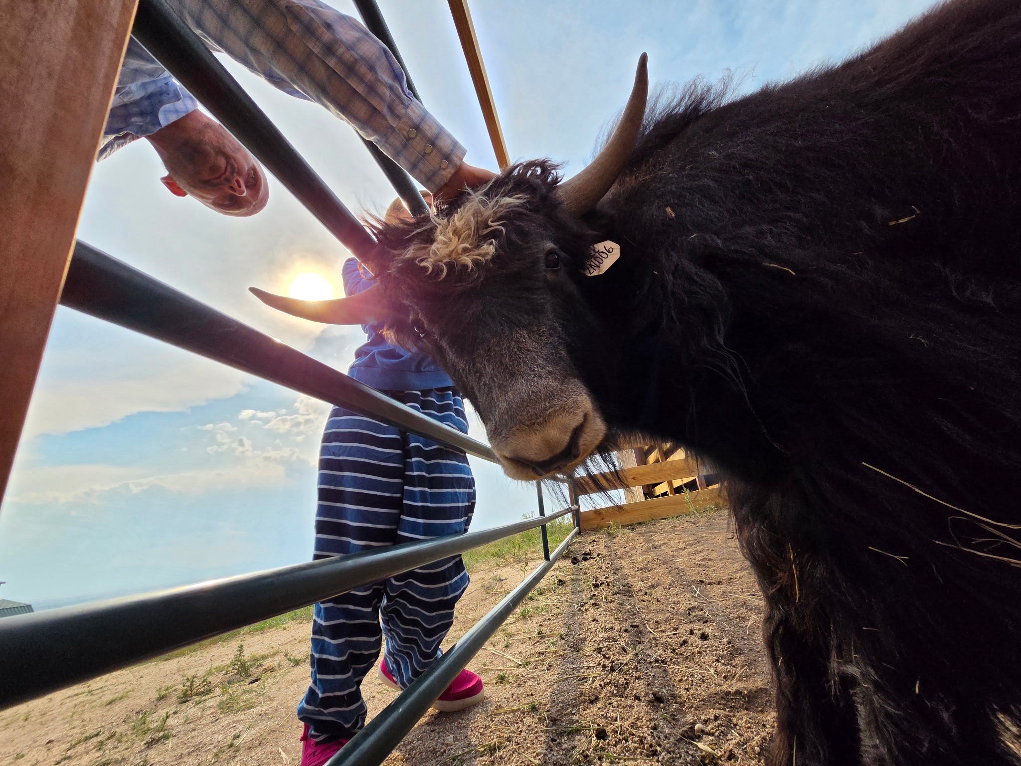 @Yakety Yak Ranch