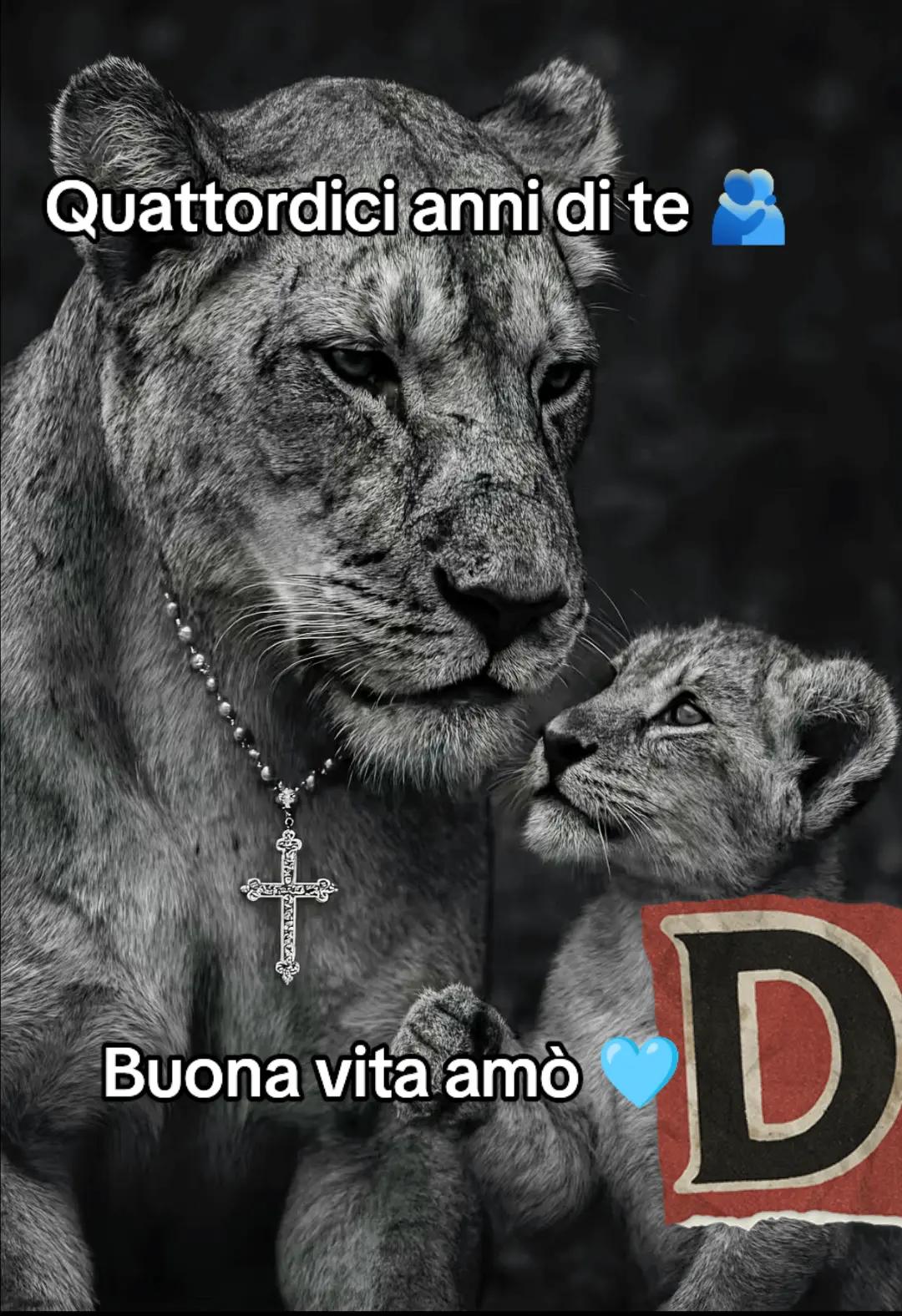 @Antonietta Fortunato 84🫀♾️☀️