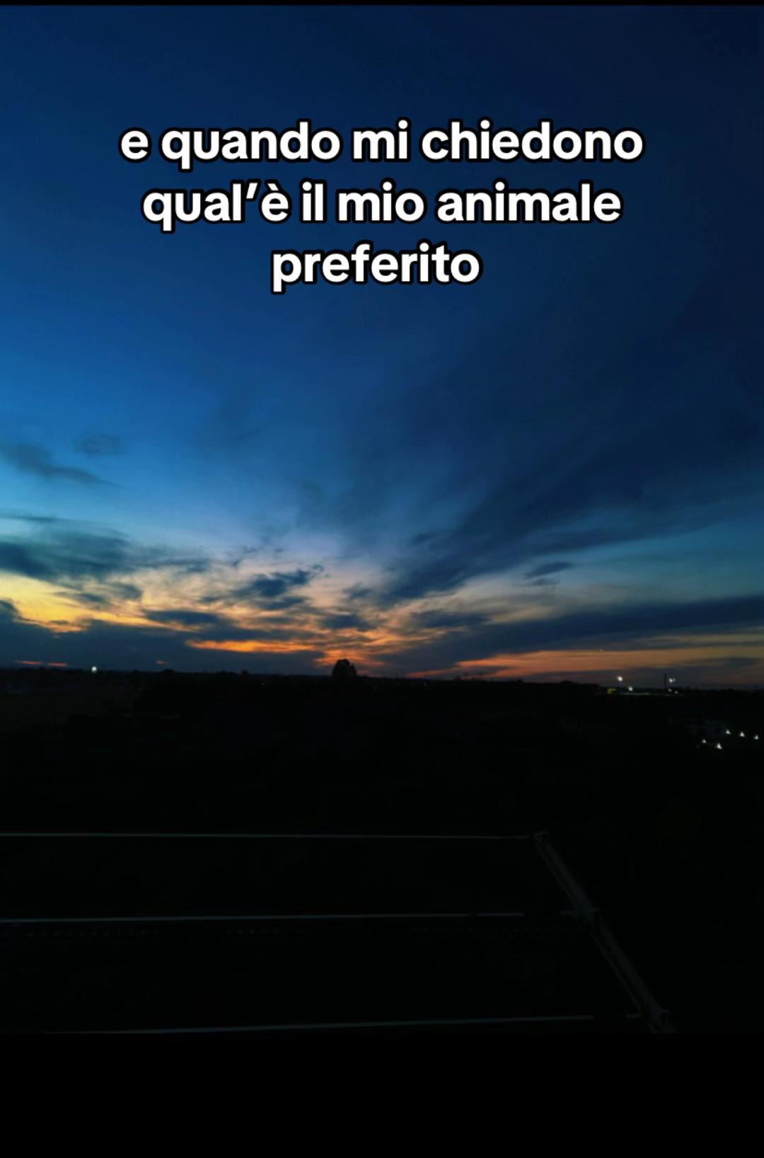 @spam..di&hellip;siria