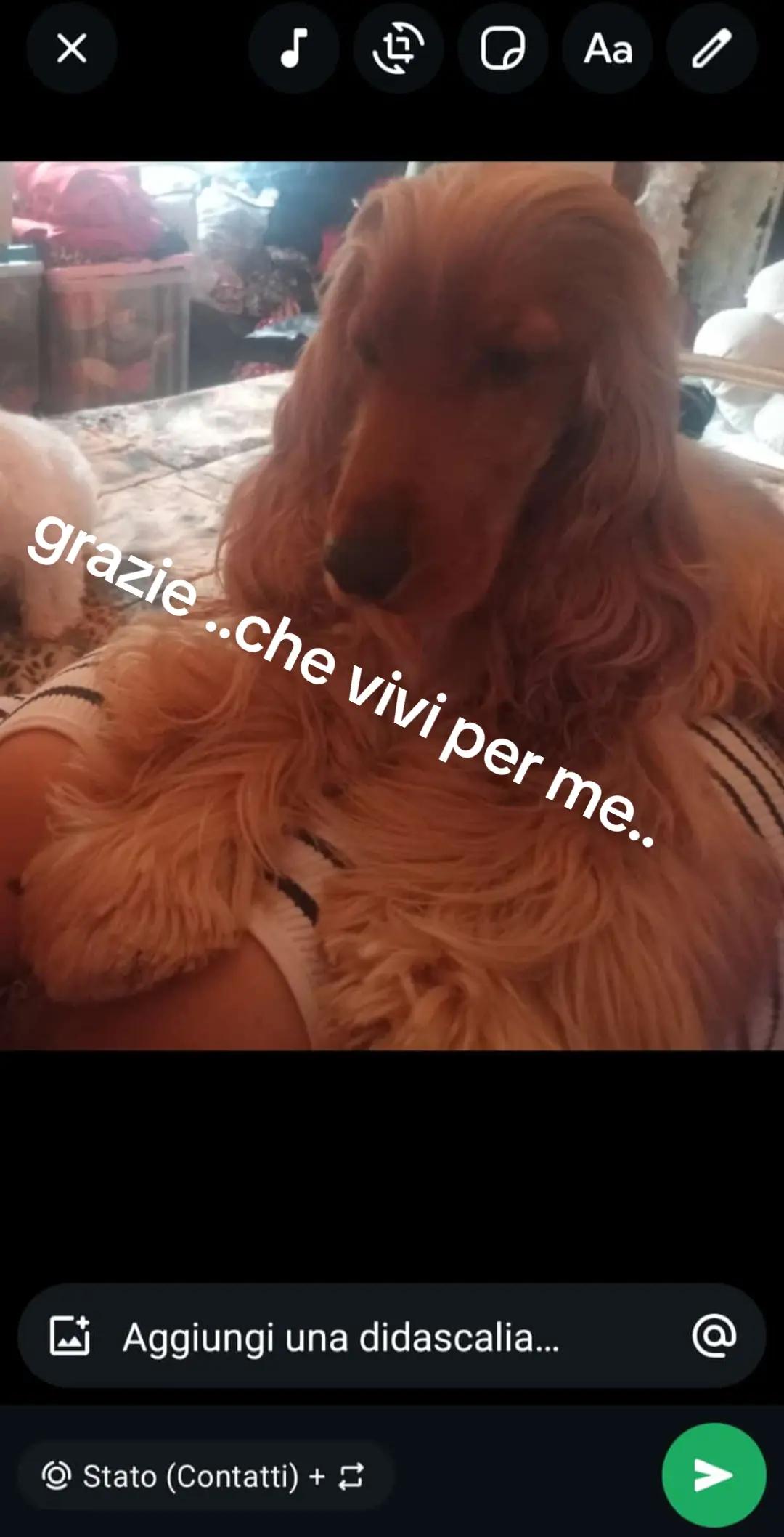 @Amanda