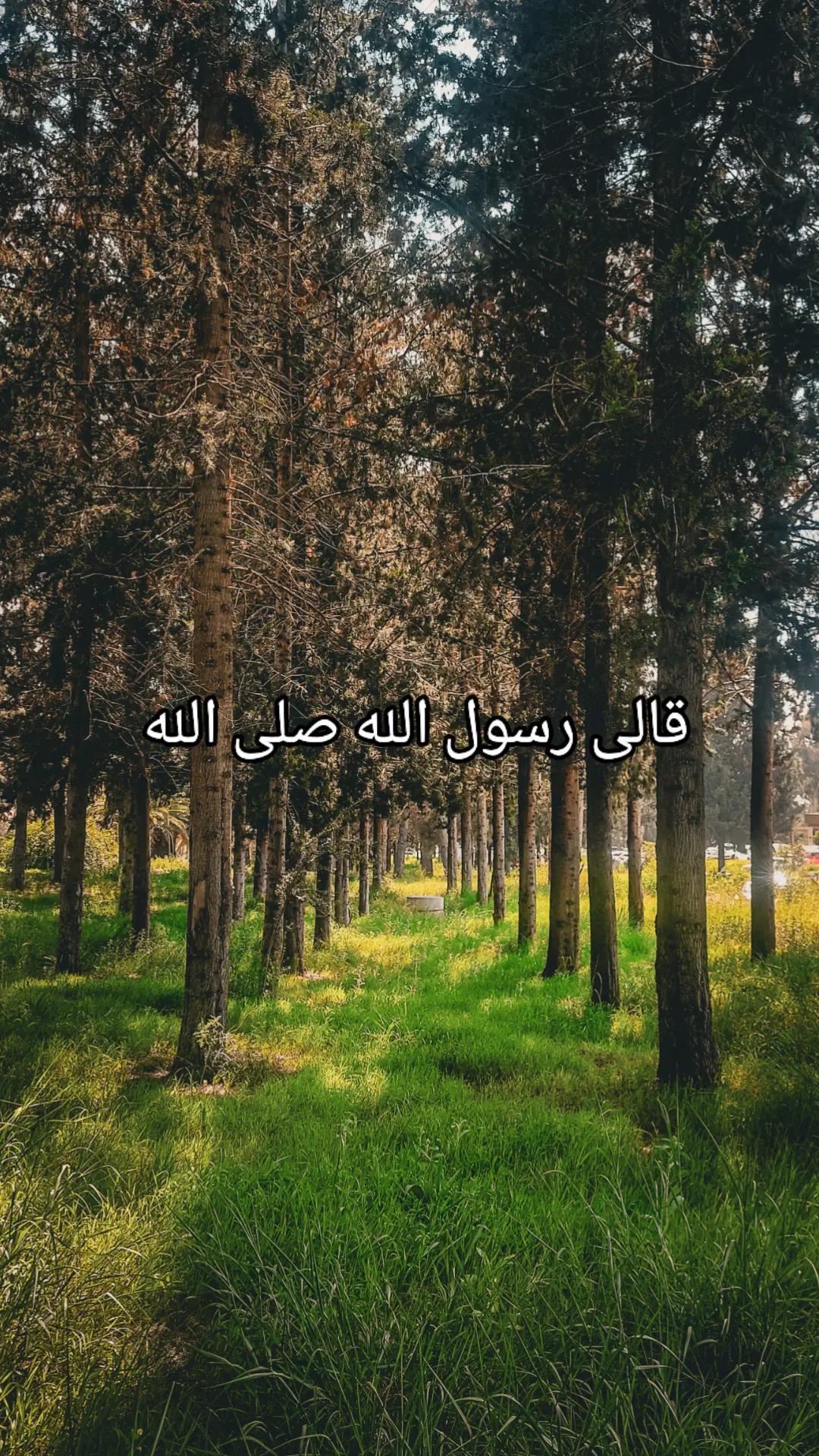 @القرآن الكريم