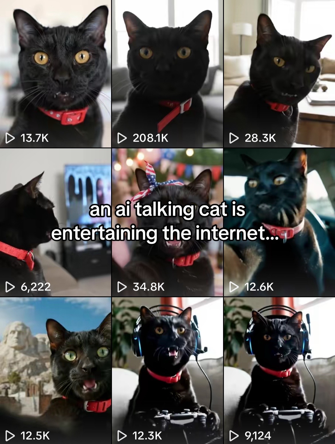@meow