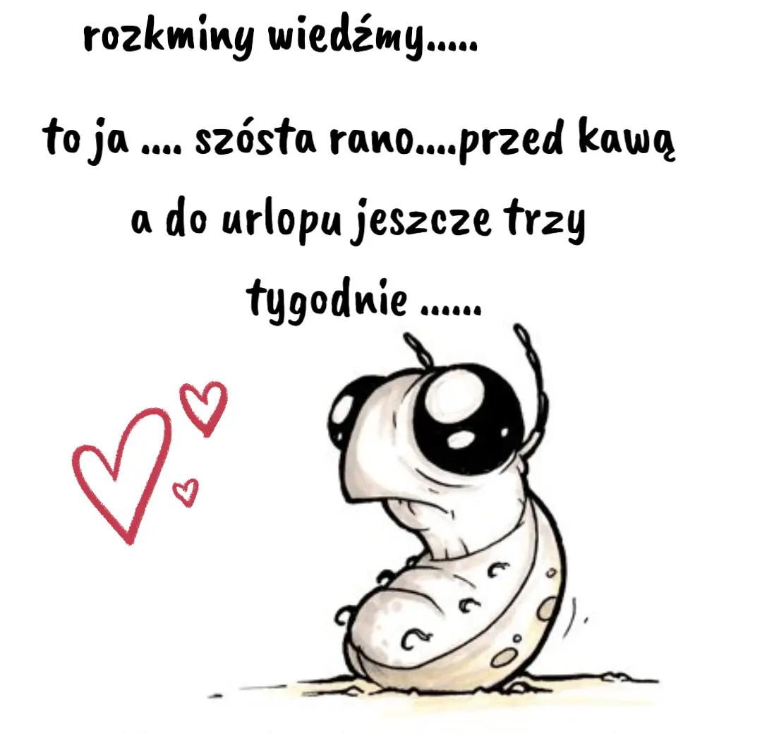 @Ewa Jóźwik