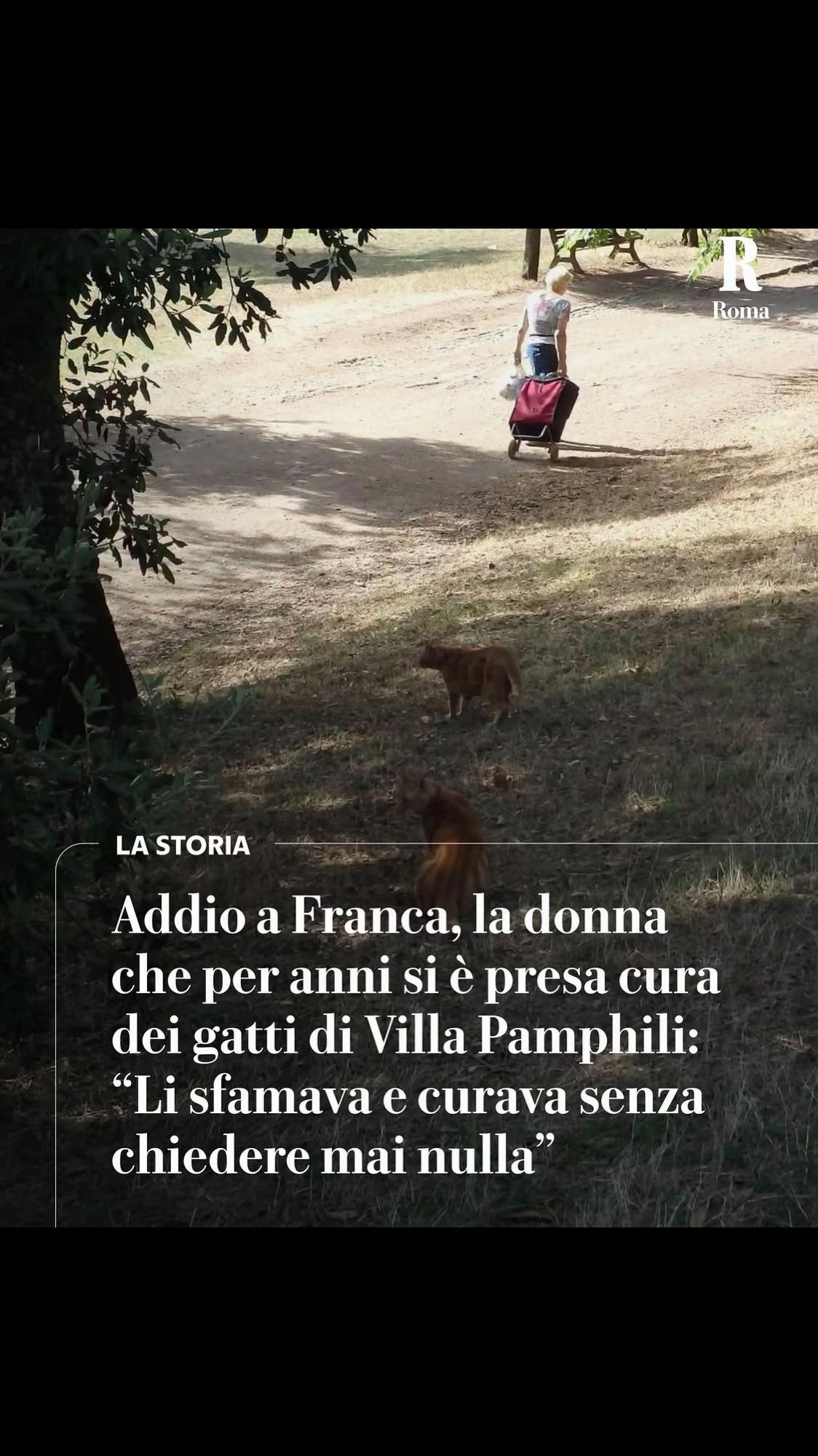 @Pancio