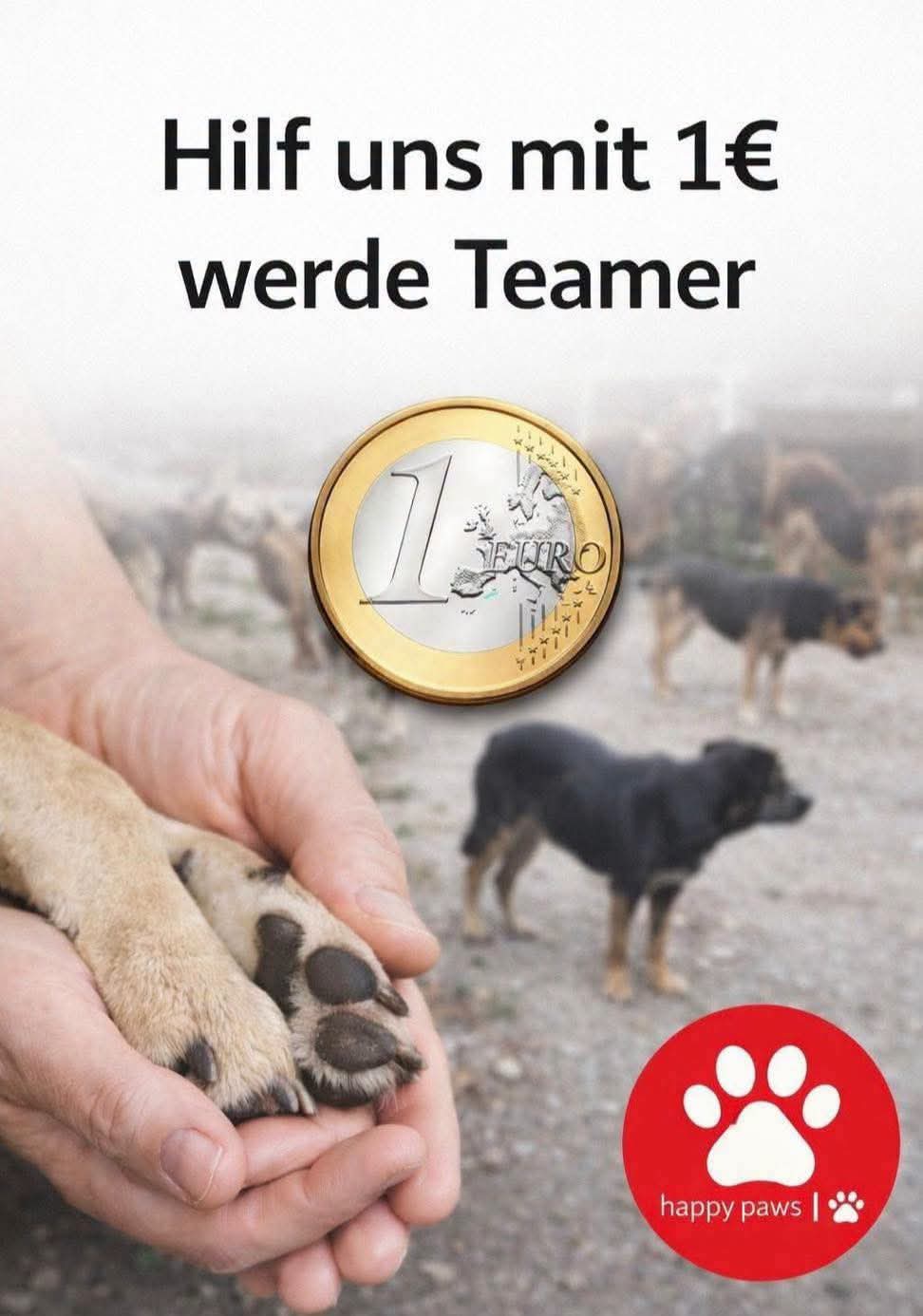 @Happy Paws Germany