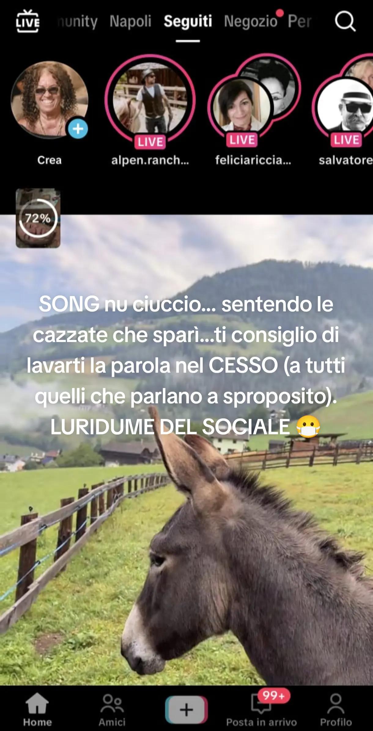@Patriziakekapokkia