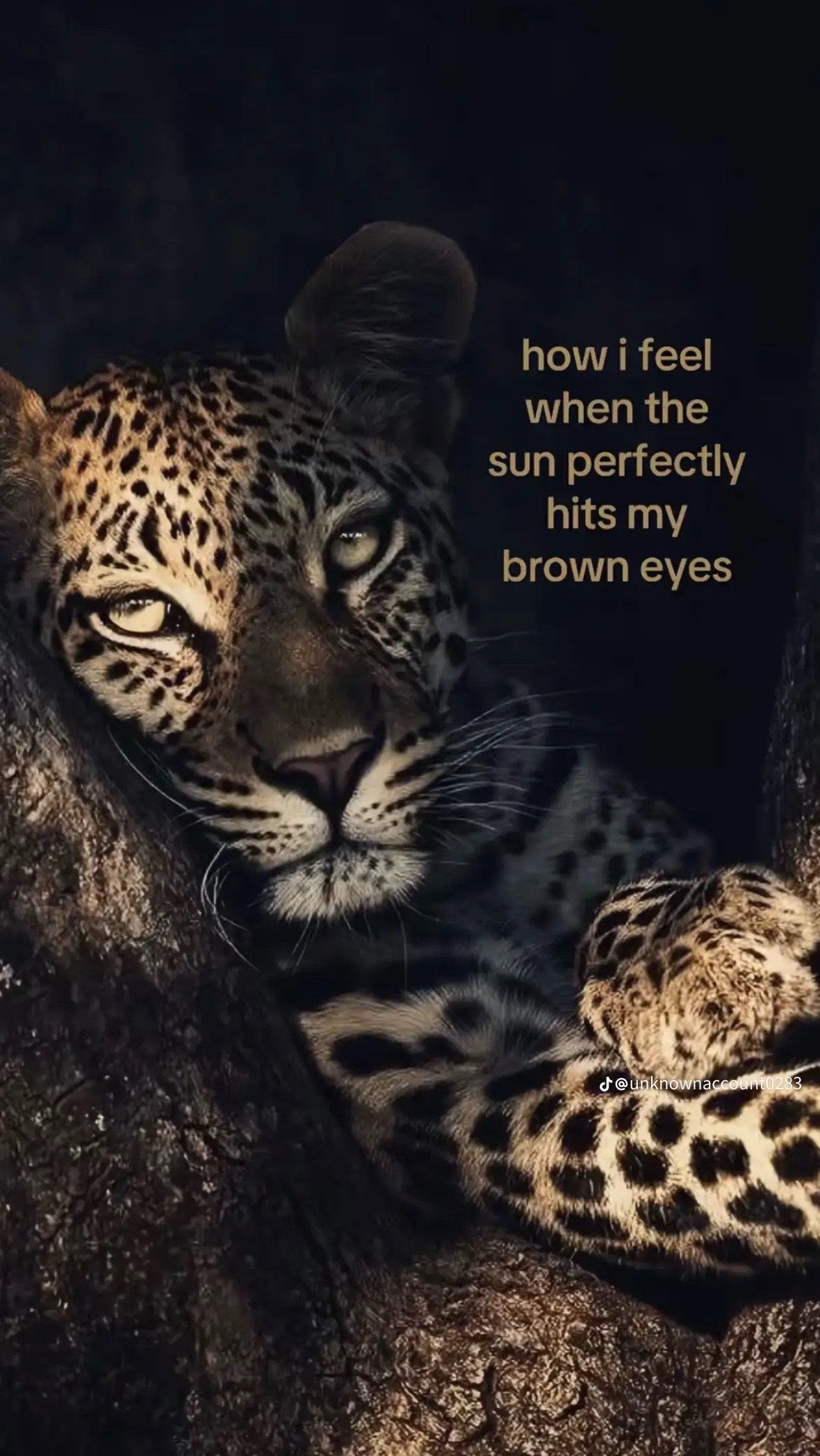 @Madisyn 🥰