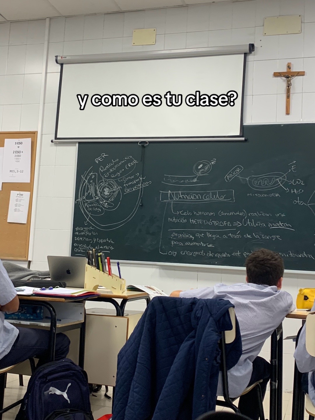 @🇪🇸_EsPaÑa_🇪🇸