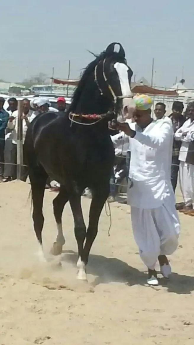 @Hayat Raza