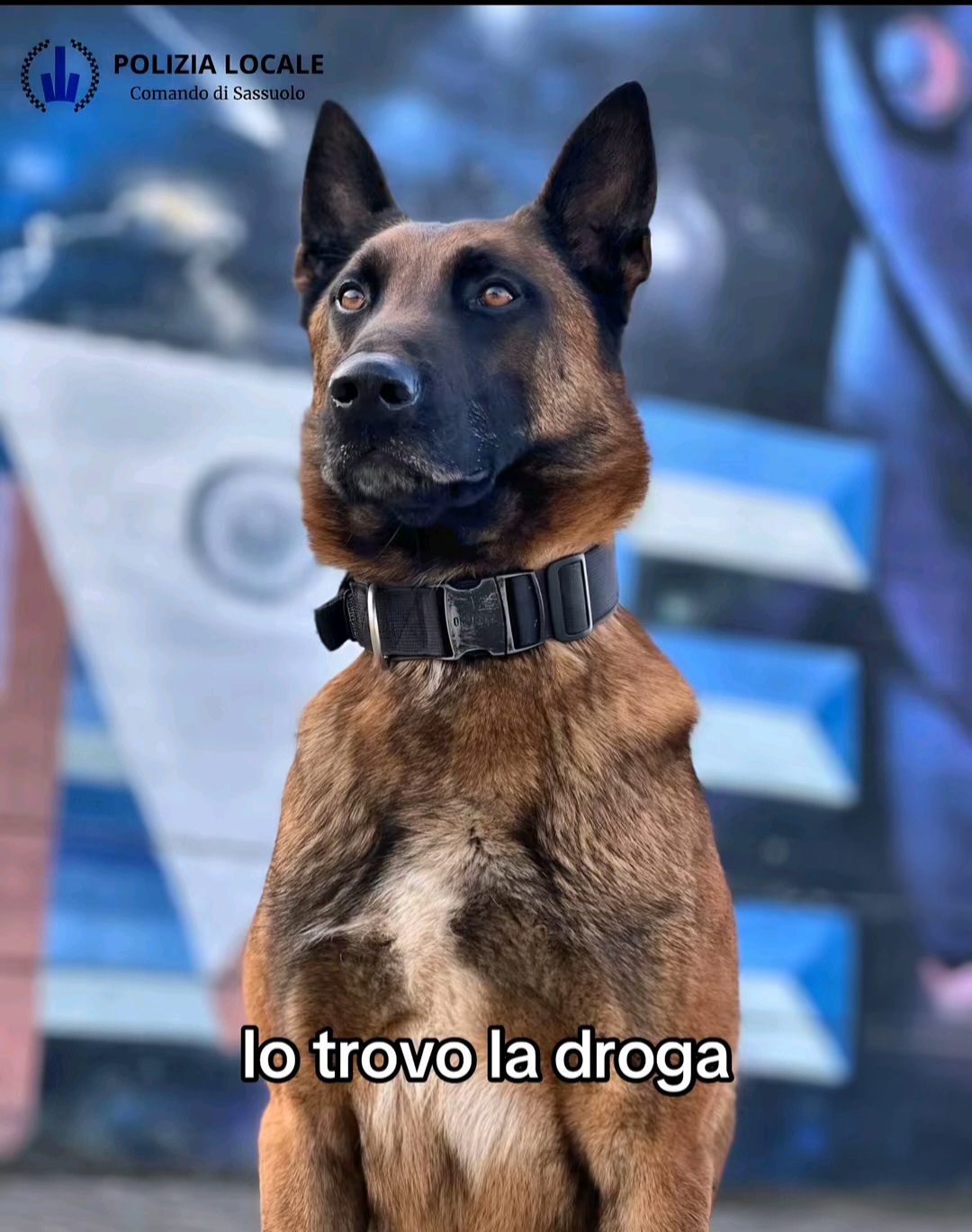 @Naomi