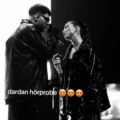 @Mister Dardy👑