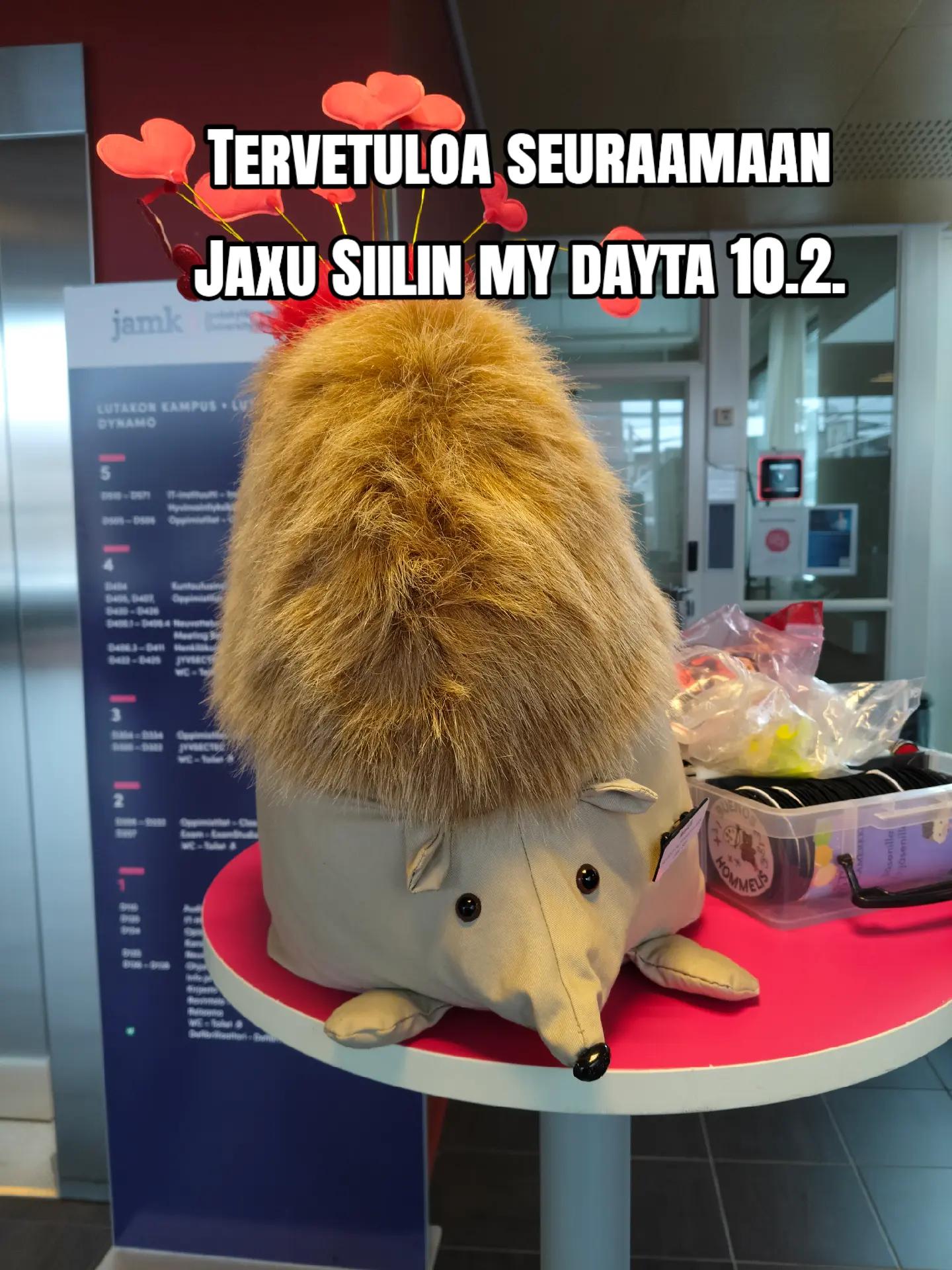 @JASTO