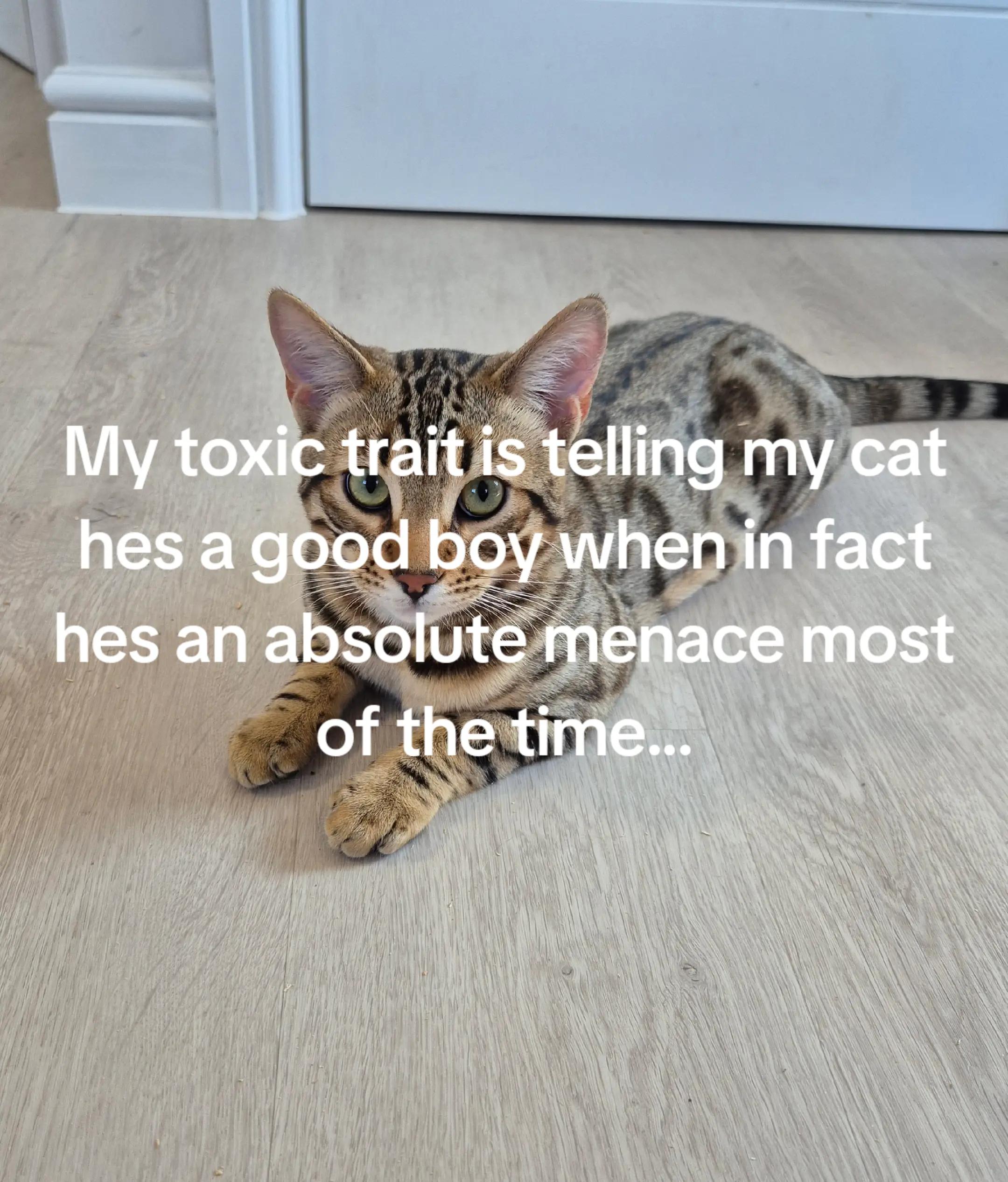 @brattylittlerainbowgirl