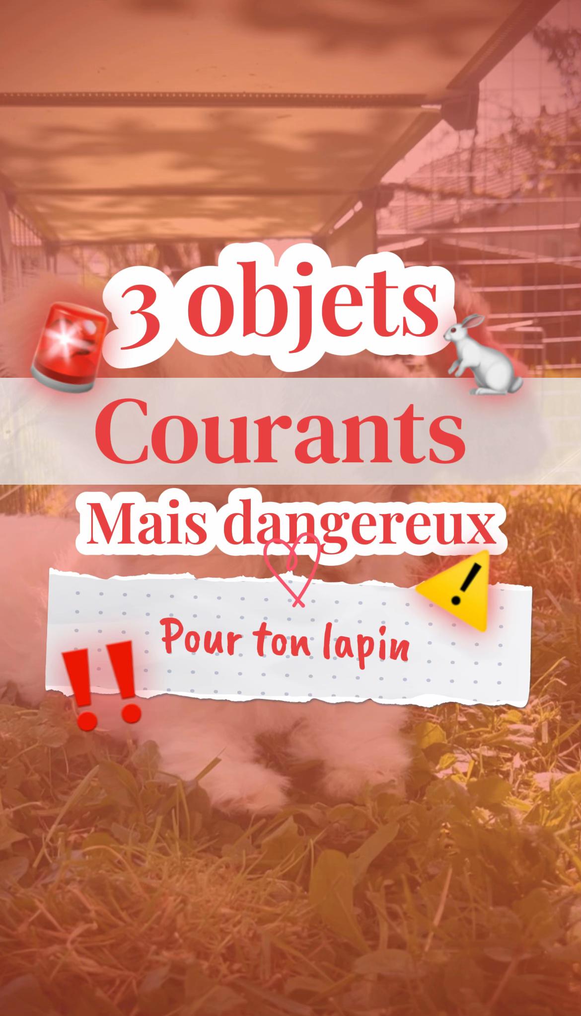 @Mes lapinouchs 🐰