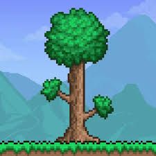 @miyamoto