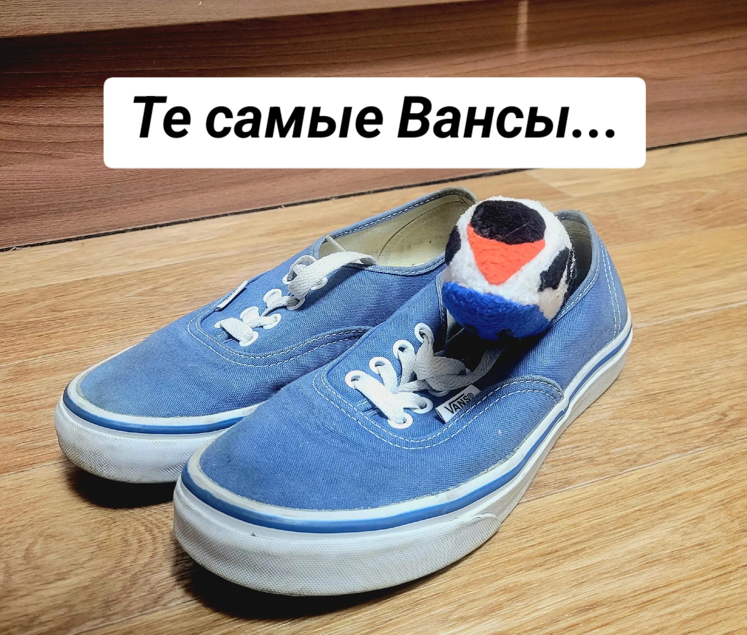 @🤍𝕊𝕒𝕡𝕤𝕒𝕟𝕠𝕧𝕒🤍