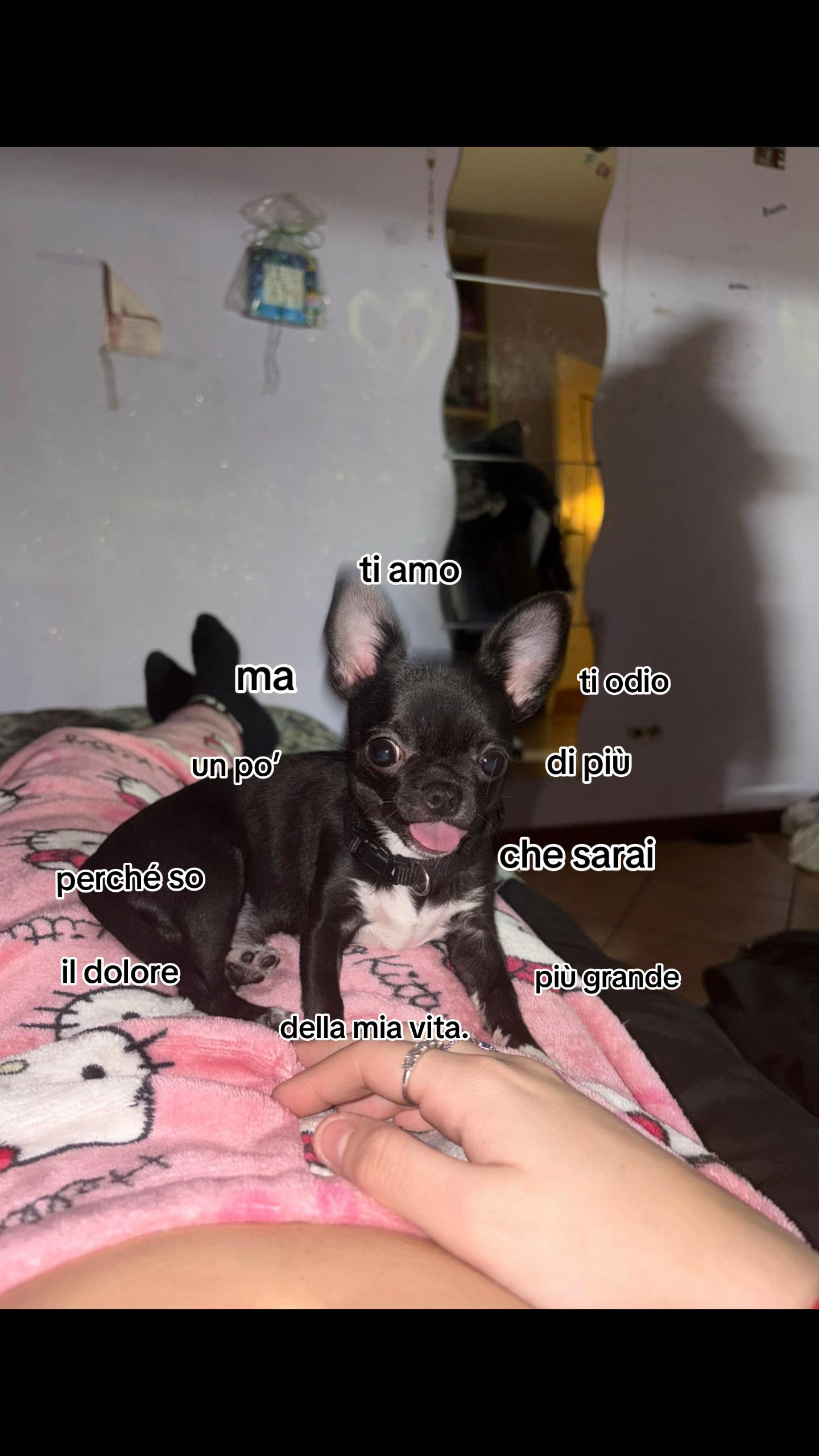 @๐ฑ