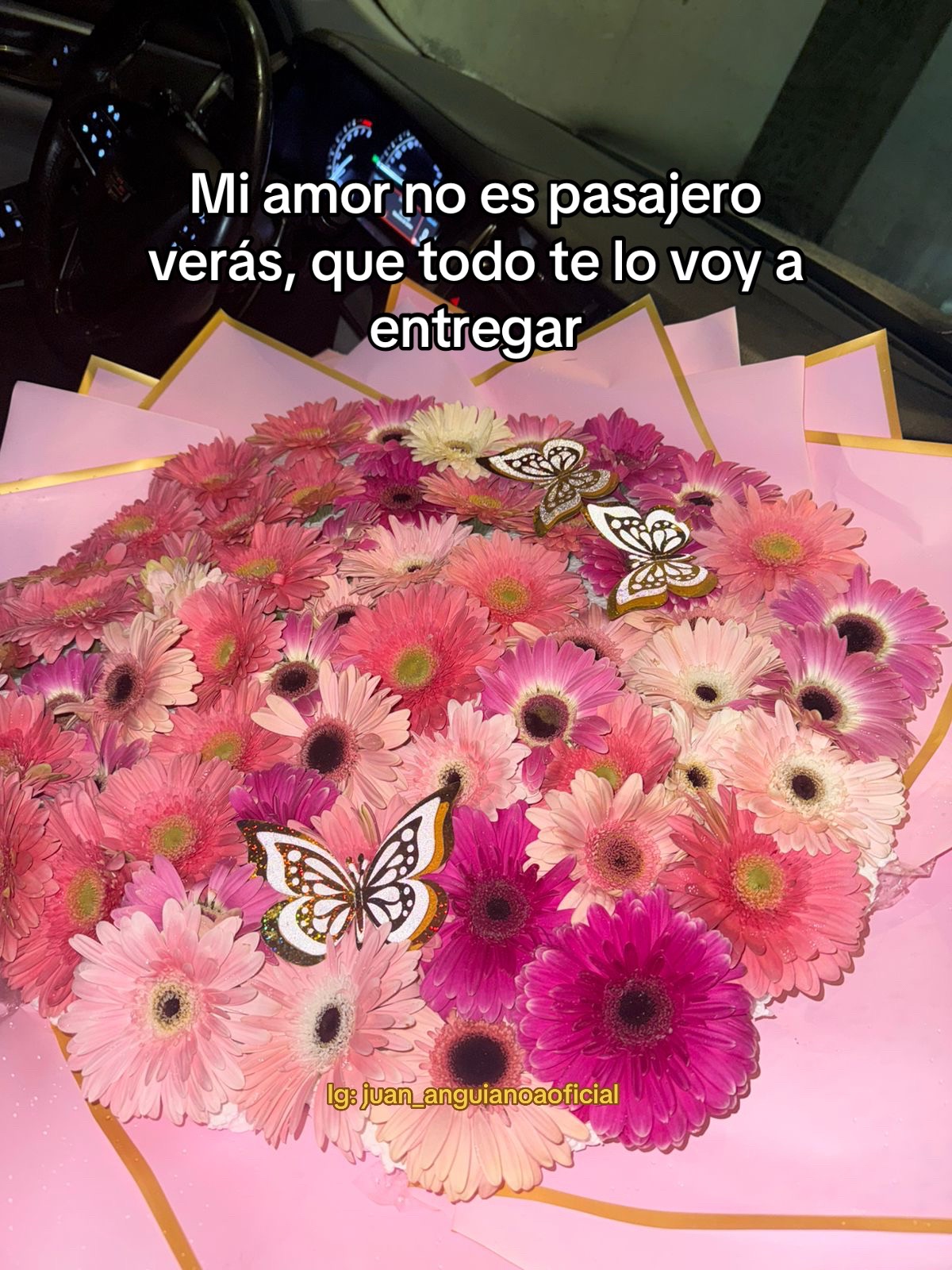 @Junior Anguiano