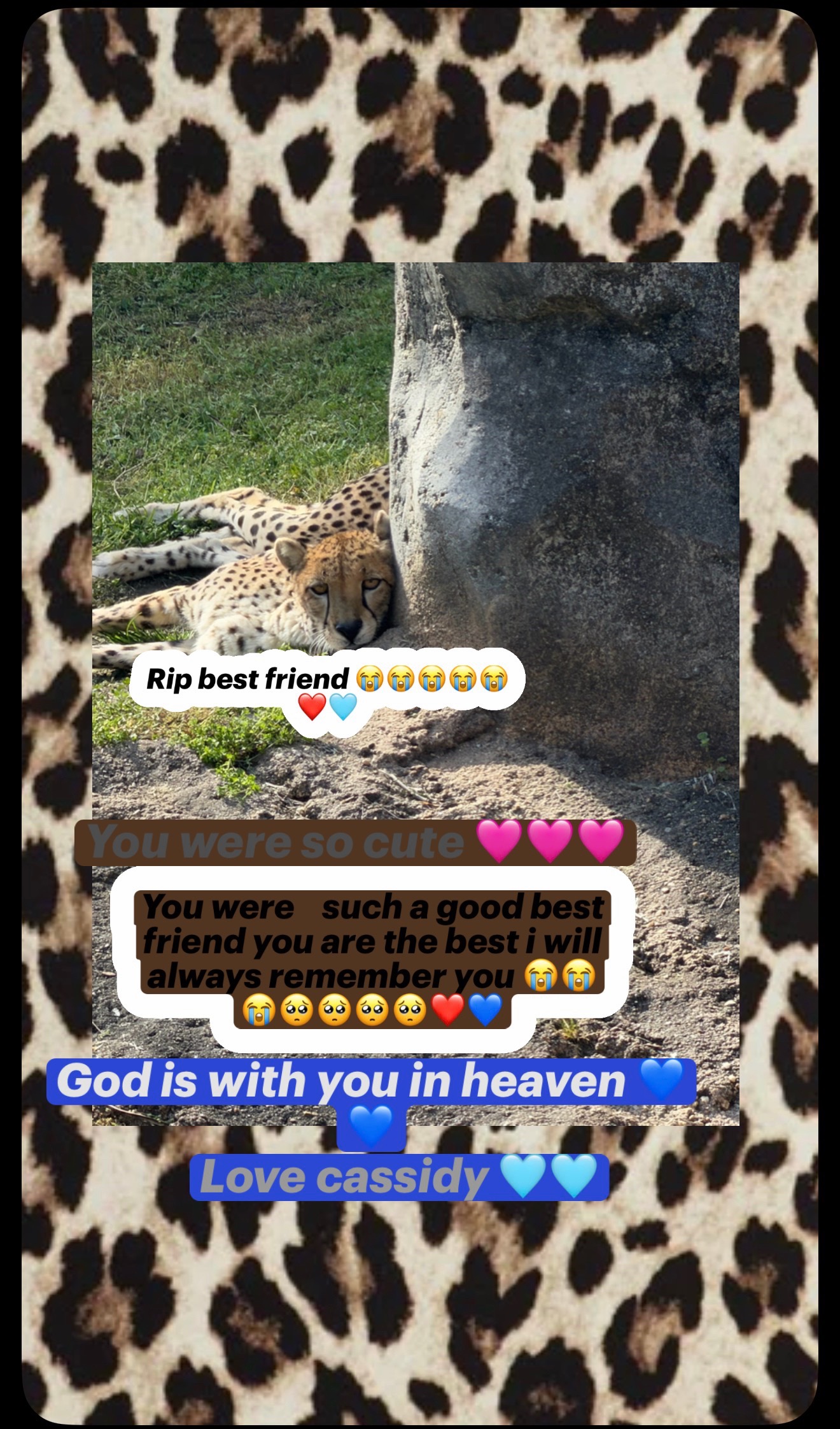 @Cassidy and mommy